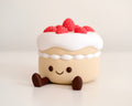Strawberry Cake Storage Box
