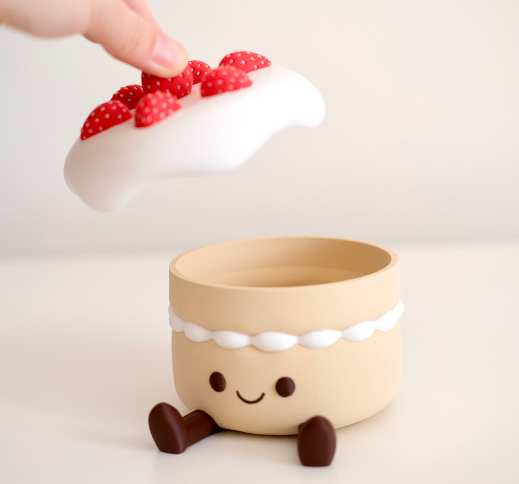 Strawberry Cake Storage Box
