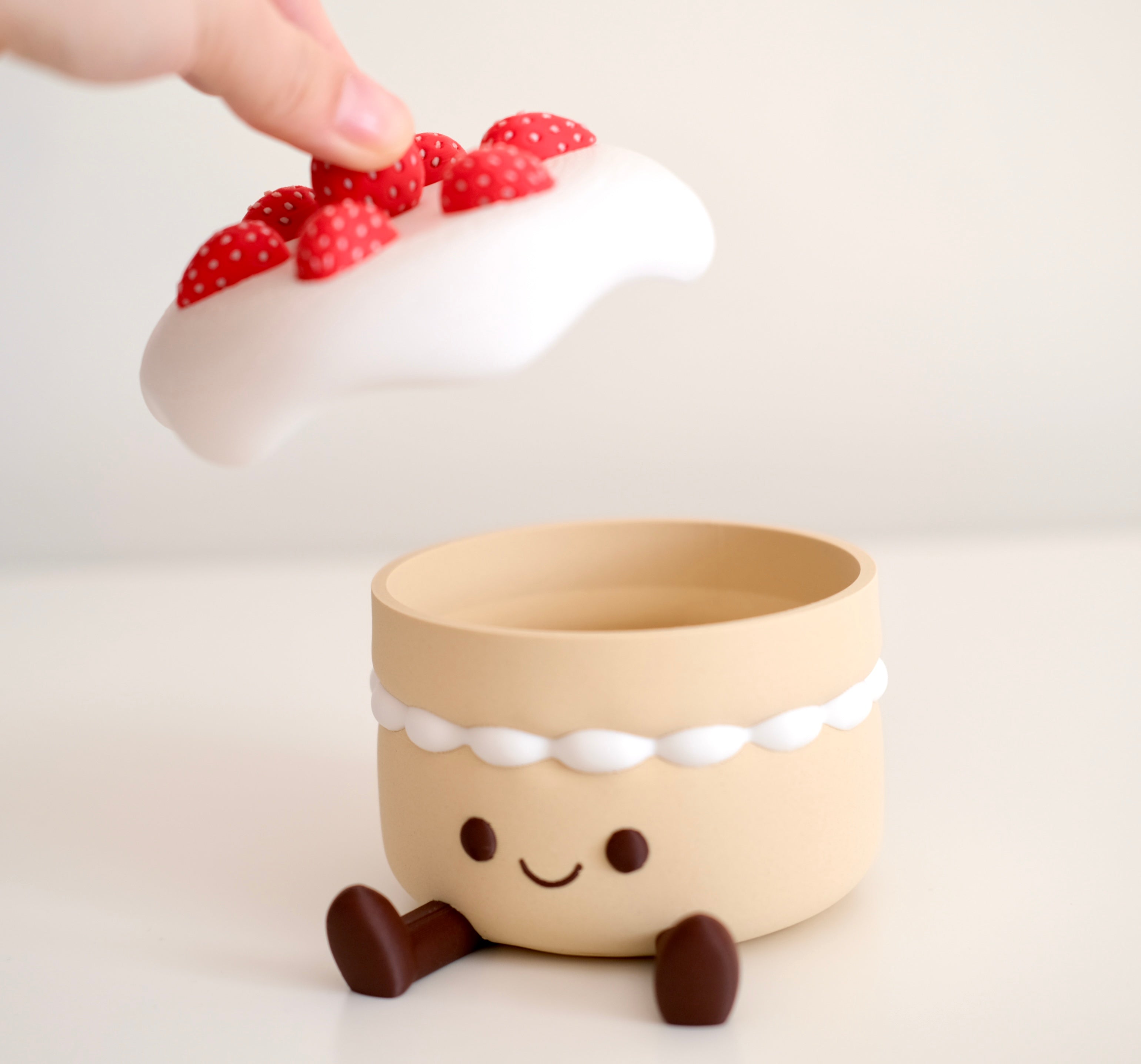 Strawberry Cake Storage Box