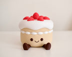 Strawberry Cake Storage Box